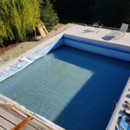 Accessoires et Produits d'Entretien : Maintenez votre Piscine dans un État Impeccable Colmar